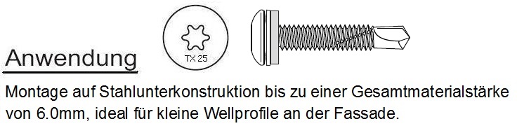 Selbstbohrende Spezialschraube mit Torx Edelstahl
