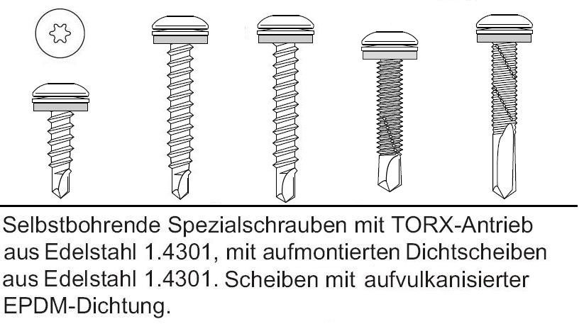 Schrauben-selbstbohrend Schnellbauschrauben Hartholzschrauben inkl BIT TORX !!! 