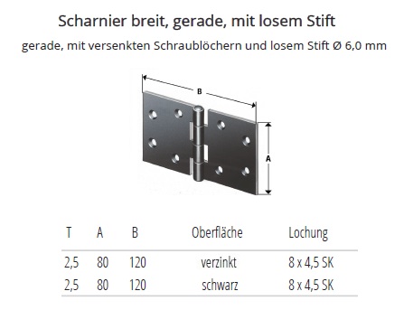 Technische Daten Breite Scharniere mit losem Stift