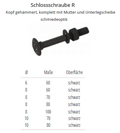 Schlossschraube + Mutter + Unterlegscheibe M6x40mm