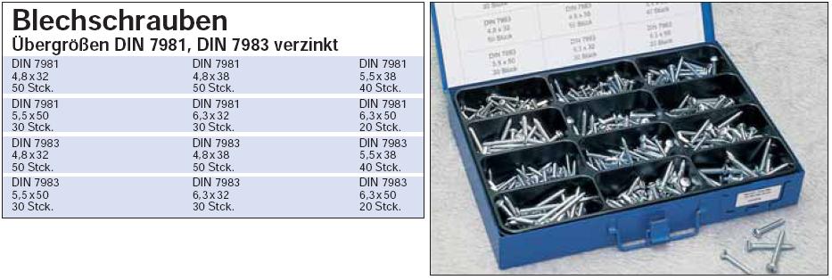 Blechschrauben-Sortiment Linsenkopf DIN 7981 verzinkt in stabiler  Metallbox, Schrauben
