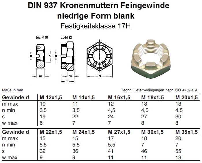 niedrige Form 14 H Feingewinde blank DIN 937 M 22 x 1,5 2 Kronenmutter 