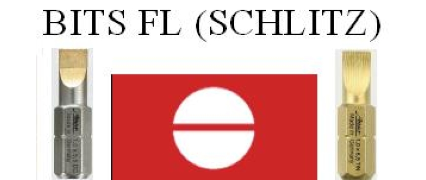 Bits Schlitz FL
