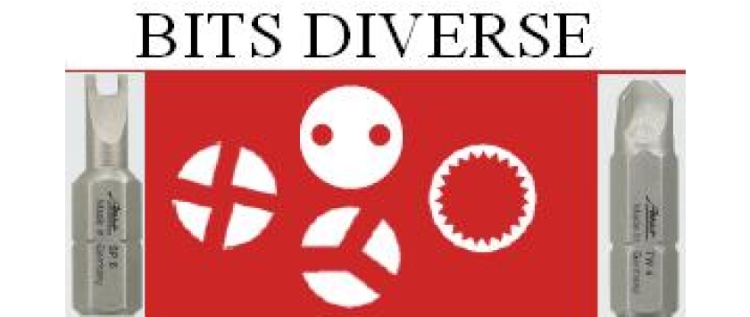 Bits diverse