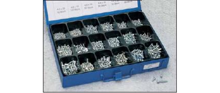 Blechschrauben-Sortiment Linsenkopf DIN 7981 verzinkt in stabiler Metallbox