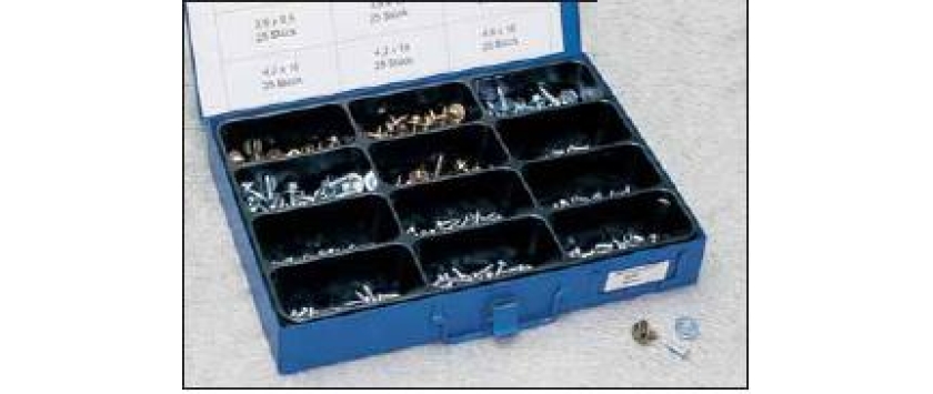 Blechschrauben-Sortiment 6-kt. DIN 7976 verzinkt in stabiler Metallbox