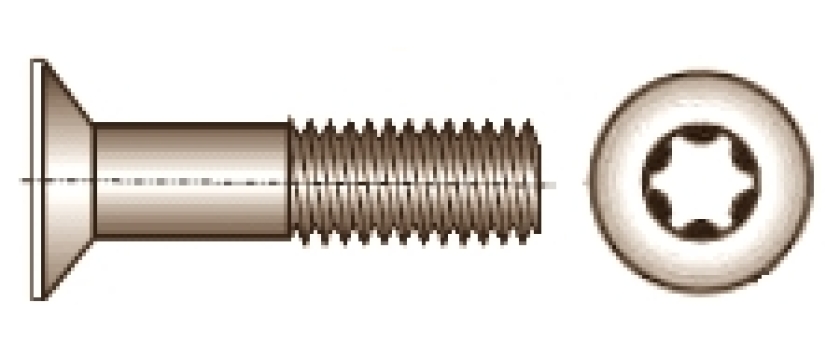 Senkschrauben mit Torx ähnlich DIN 7991 verzinkt