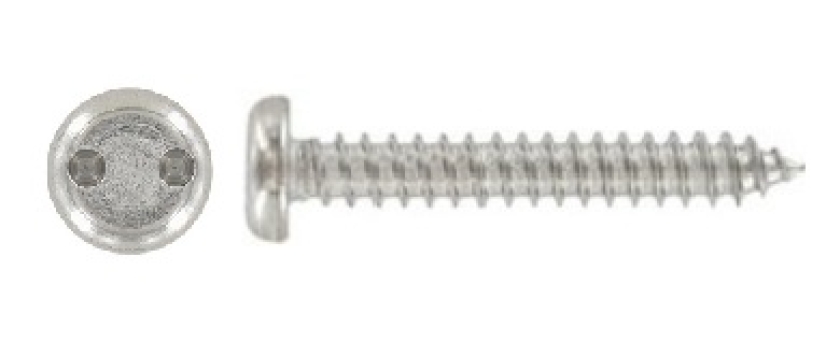 Sicherheitsblechschrauben Linsenkopf (Panhead) mit Zweiloch-Antrieb A2 Edelstahl