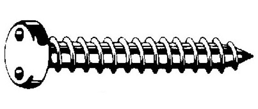 Sicherheitsblechschrauben Linsenkopf (Panhead) mit Zweiloch-Antrieb