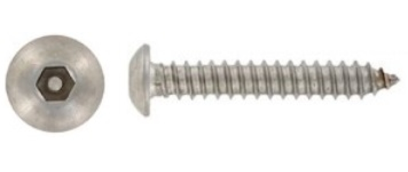 Sicherheitsblechschrauben Flachrundkopf (Buttonhead) mit Innensechskant und Sicherheits-Pin A2 Edels