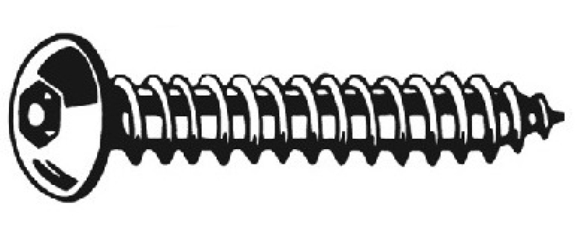 Sicherheitsblechschrauben Flachrundkopf (Buttonhead) mit Innensechskant und Sicherheits-Pin