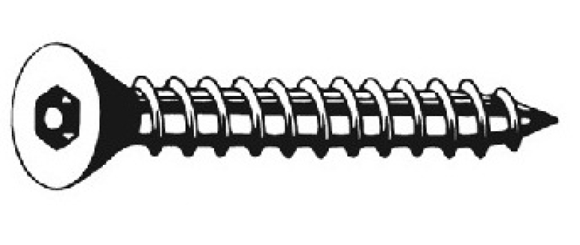 Sicherheitsblechschrauben Senkkopf (Flathead) mit Innensechskant und Sicherheits-Pin