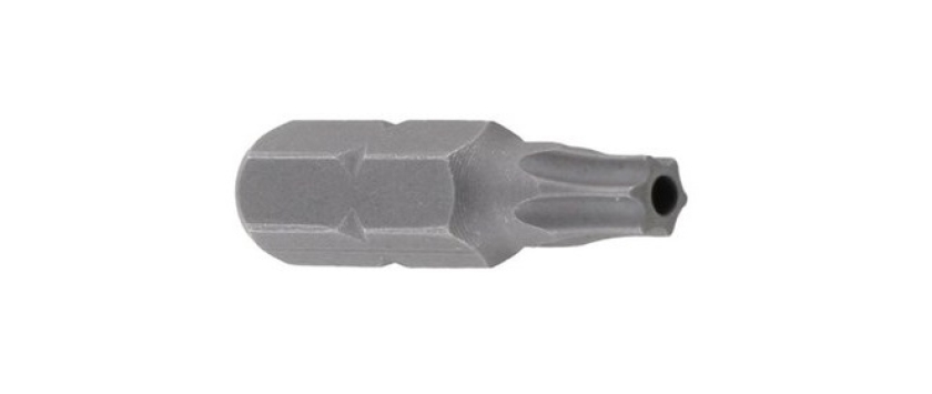 Sicherheits Bit Torx mit Pin