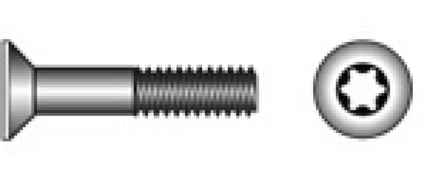 Senkschrauben mit Torx ähnlich DIN 7991