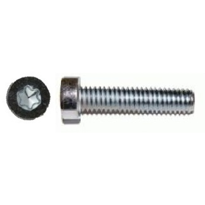 ISO 14580 Zylinderschraube niedriger Kopf mit Torx 45, 8.8 verzinkt M8x55 - 100 Stück